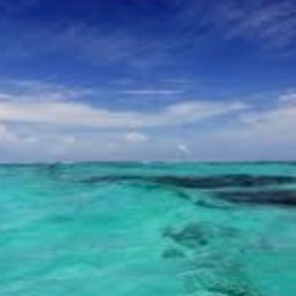 Meet your Posher, Roxy - Picture 1 of 1